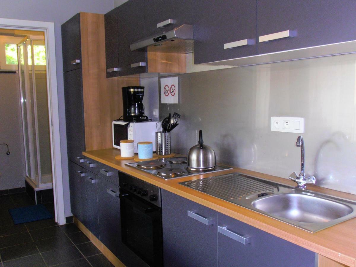 Studio Le Vedeur Avec Balcon Vue Sur Riviere Durbuy Exterior foto